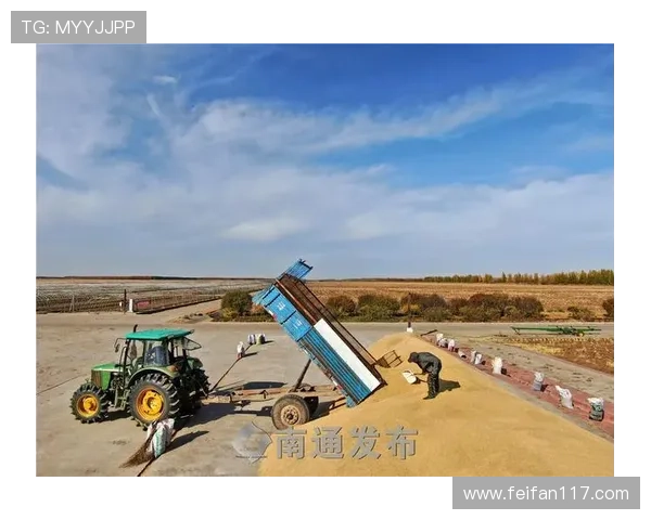 安徽公共直播间:见证江淮大地的实时风采