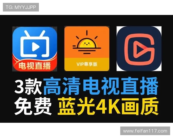 WP8手机电视直播应用推荐与使用指南